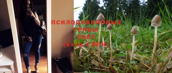 первитин Зеленодольск