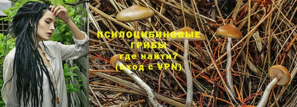 ALPHA-PVP Зеленокумск