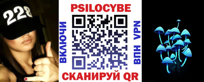 Купить где  Верхняя Салда  Галлюциногенные грибы Cubensis 